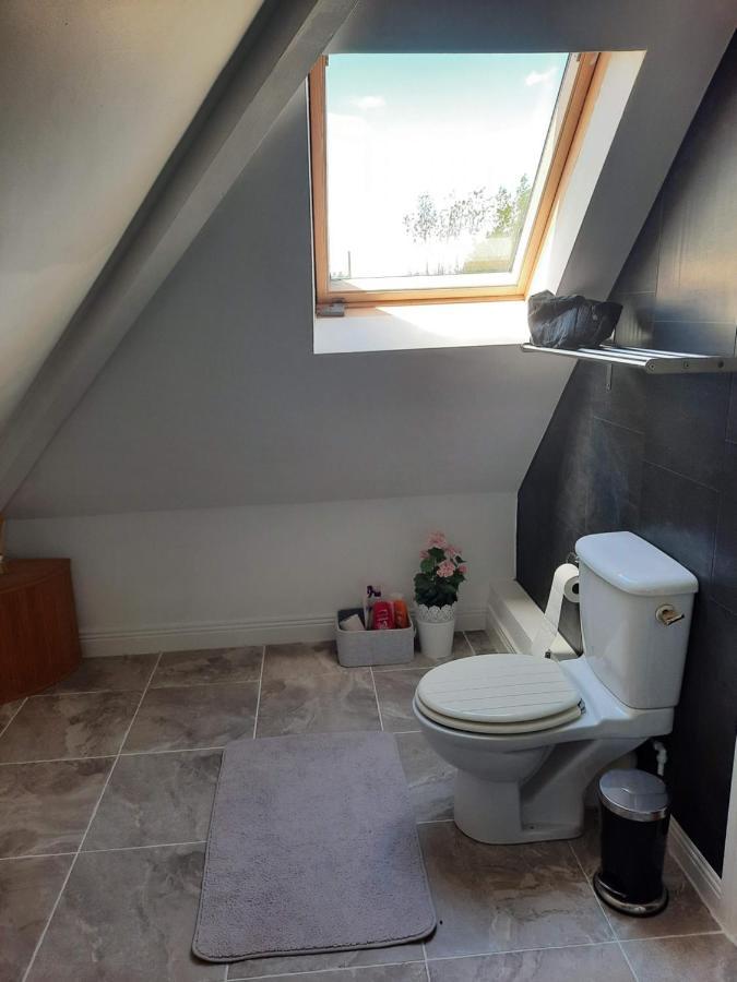 Killenard Self Catering Accommodation Extérieur photo