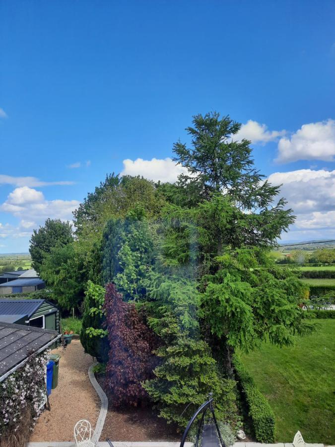 Killenard Self Catering Accommodation Extérieur photo